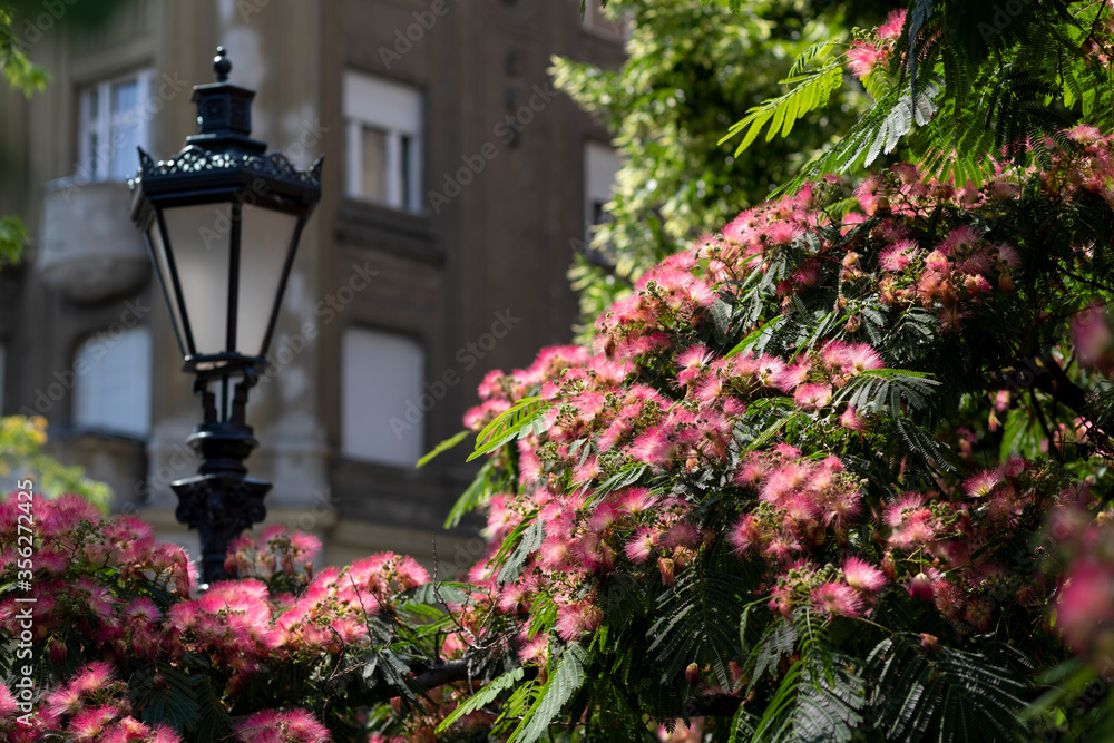 street lamp with flowers at Budapest