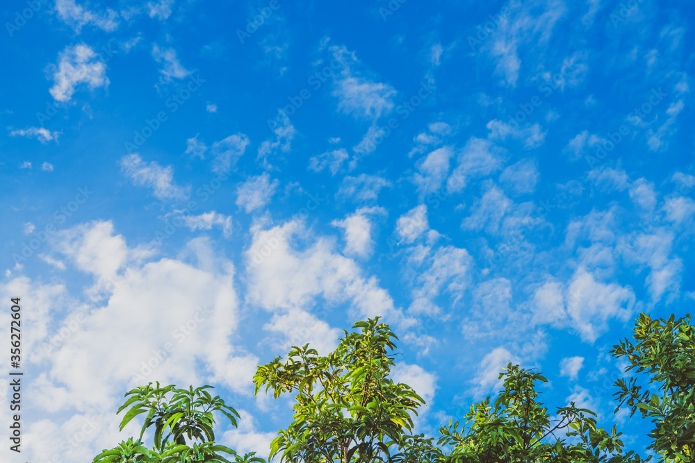 Obraz premium sky and clouds