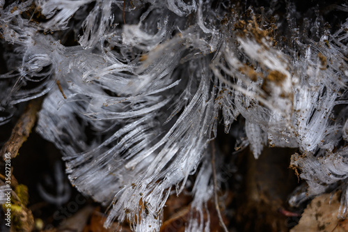 Needle Ice Close Up © kellyvandellen
