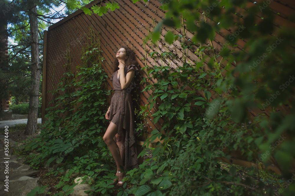 Fototapeta premium A beautiful, slender girl in a summer sundress poses against a wooden lattice fence with ivy