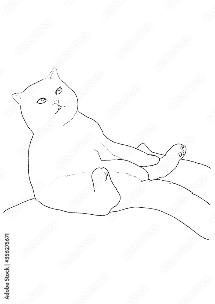 猫 猫
