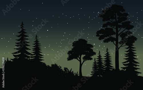 vector illustration of a night forest