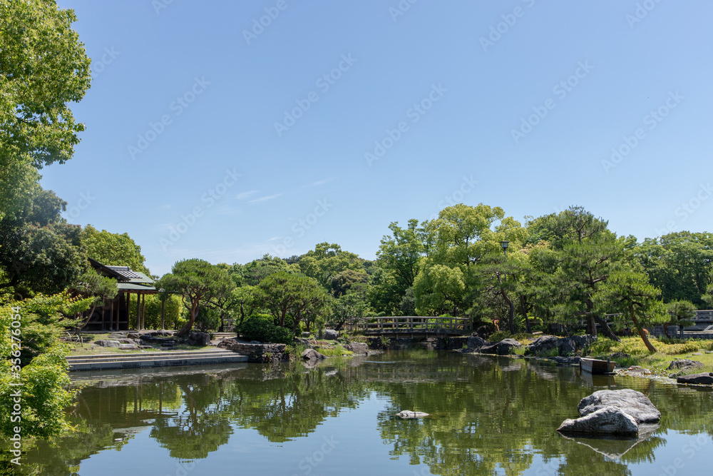 Fototapeta premium 池のある日本庭園