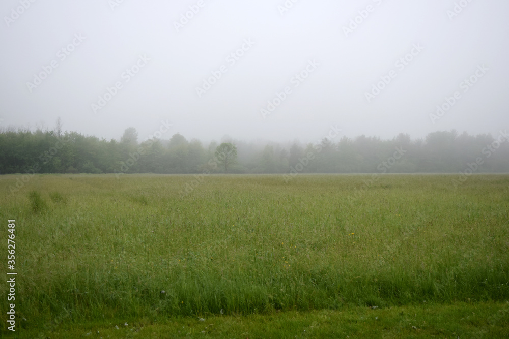 Misty Morning Fog Settling Over Farmland Fields in Rural Heartland. Misty Morning Fog Settling Over Farmland Fields in Rural Heartland.