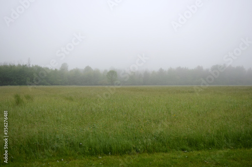 Misty Morning Fog Settling Over Farmland Fields in Rural Heartland.