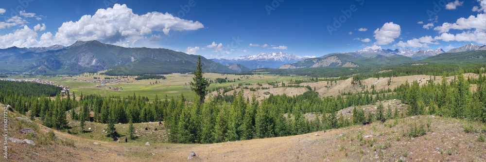 Picturesque valley in the Altay Mountains. Summer greens of meadows and forests, snow on the tops. Large panorama.