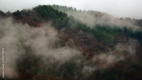 WS Landscape with fog over forest / Freudenburg, Rhineland-Palatinate, Germany