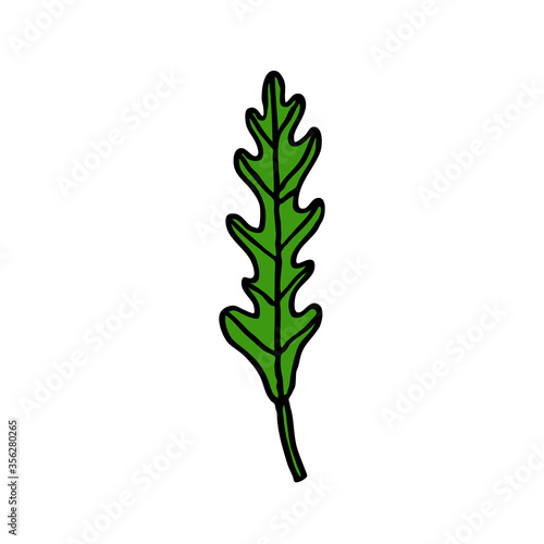 arugula, rucola doodle icon, vector illustration