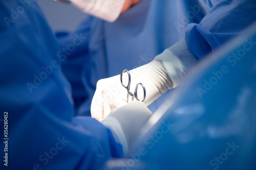 Tableau sur toile Medical team of surgeons in hospital doing caesarean