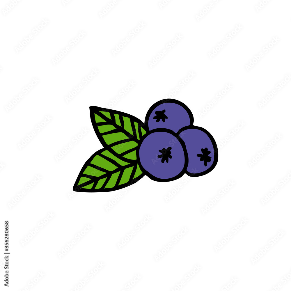 blueberry doodle icon, vector illustration blueberry doodle icon, vector illustration