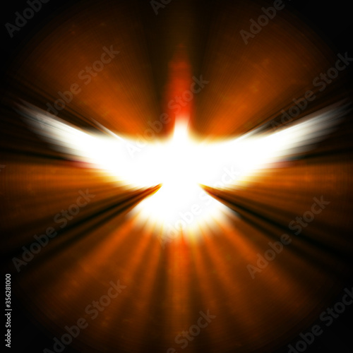 shining dove with rays on a dark