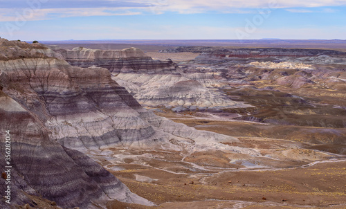 Overlooking the Blue Mesa Loop in Petrified Forest National Park