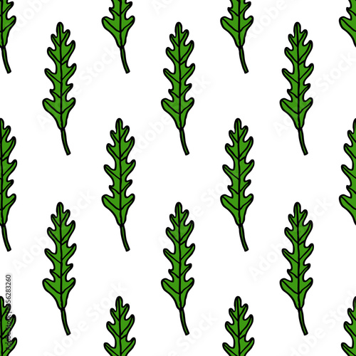 arugula rucola seamless doodle pattern, vector illustration