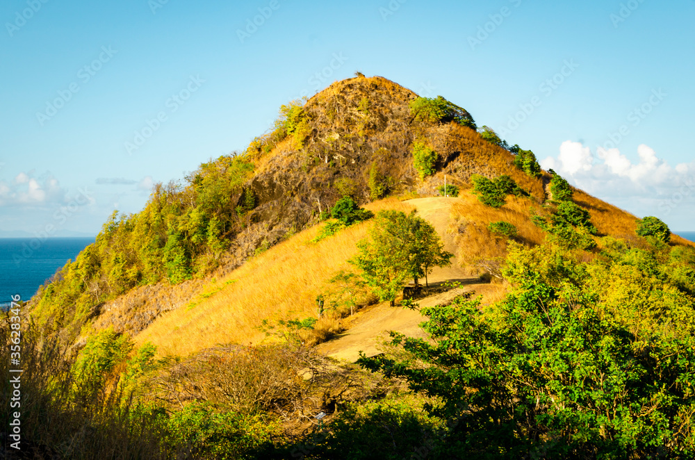 Obraz premium landscape in the mountains