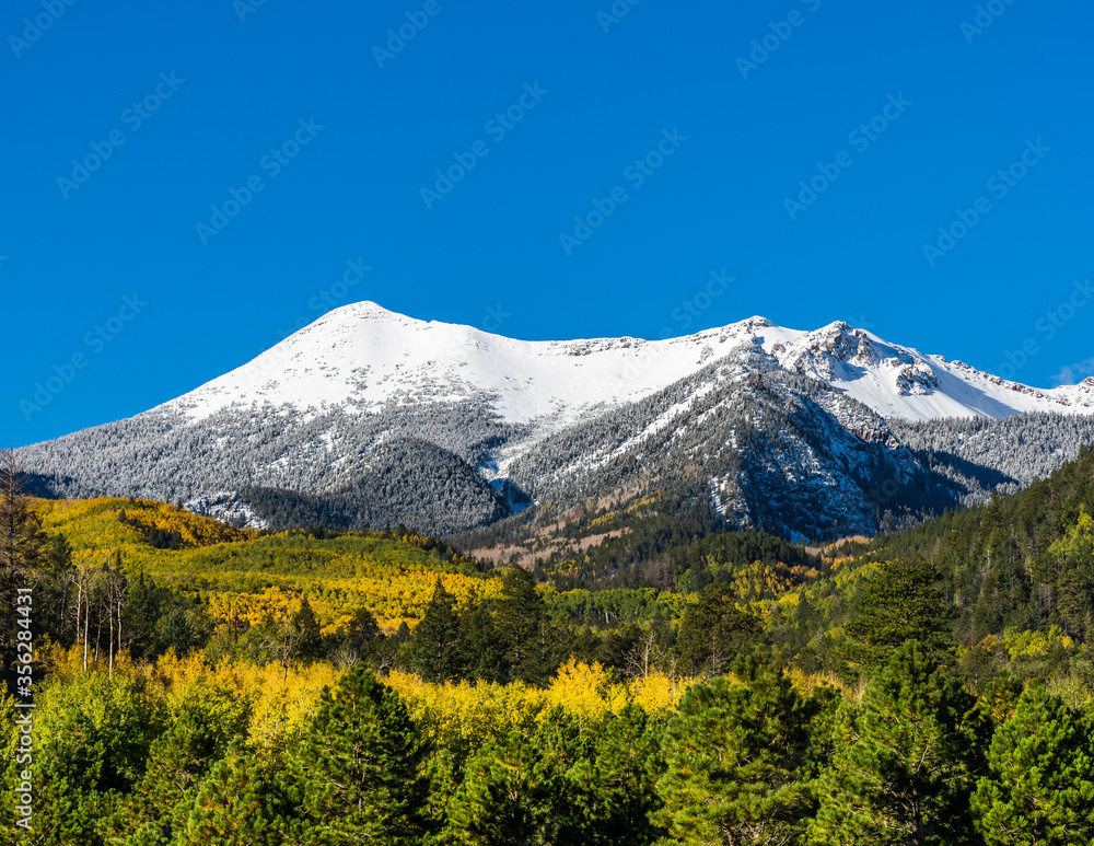 Naklejka premium Snow covered mountains above fall foliage