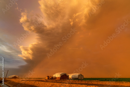 Arizona dust storm at sunset