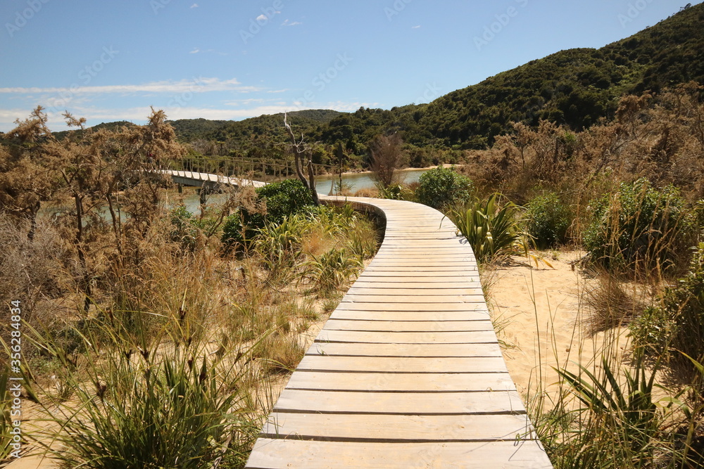 wood walkway, Abel tasman bay, Marlborough sound, New Zealand, South island
