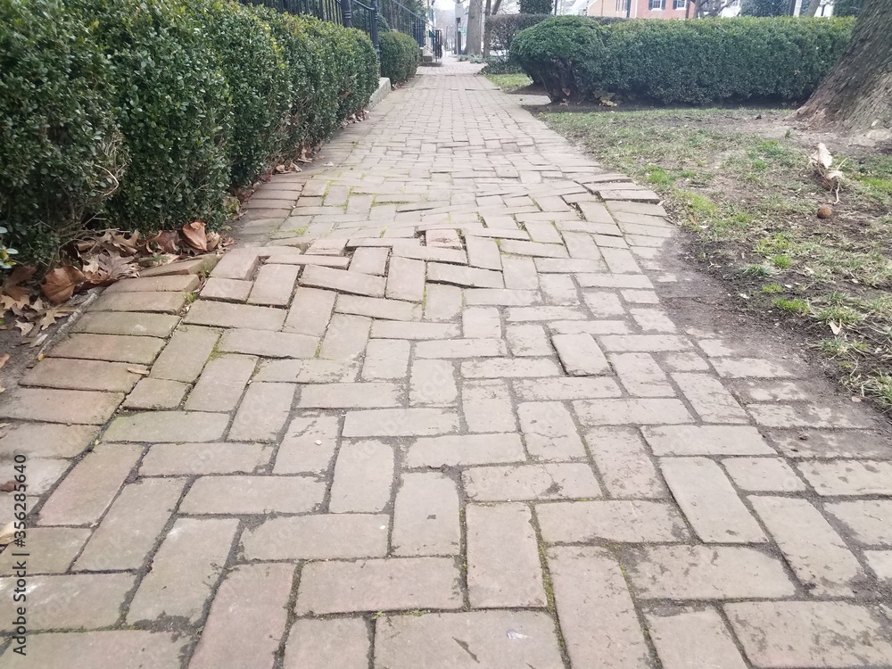 bumpy red brick sidewalk from tree roots