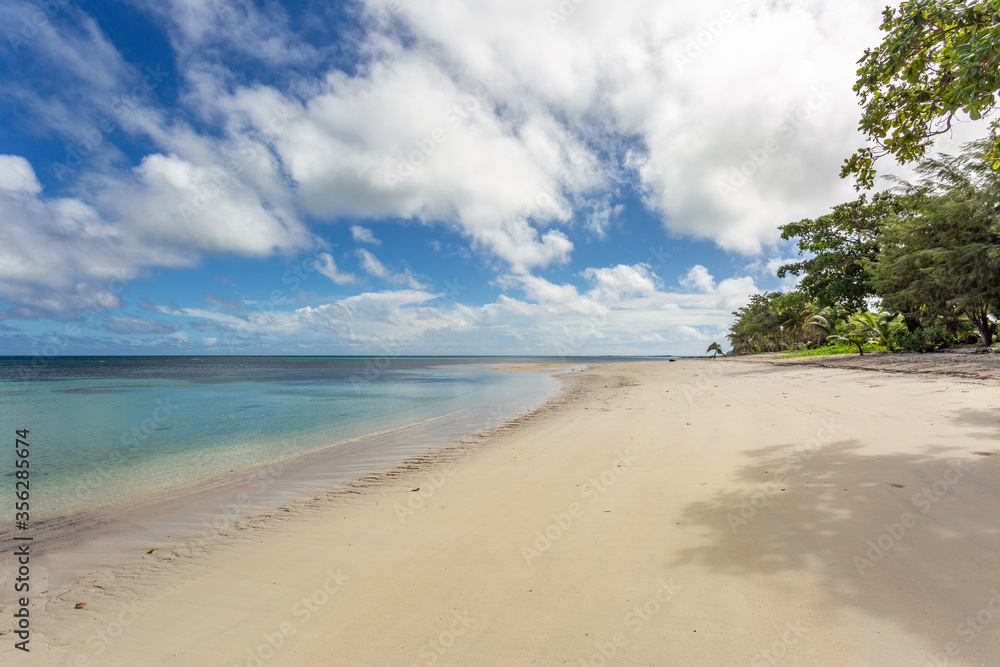 Deserted tropical beach with coconut trees Deserted tropical beach with coconut trees