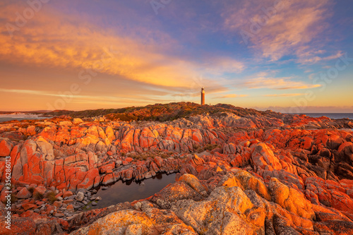 Beautiful spring sunrise over Eddystone Point Lighthouse.Mount William National Park. Part of Bay of Fires Conservation Area.North Eastern Tasmania,Australia. photo