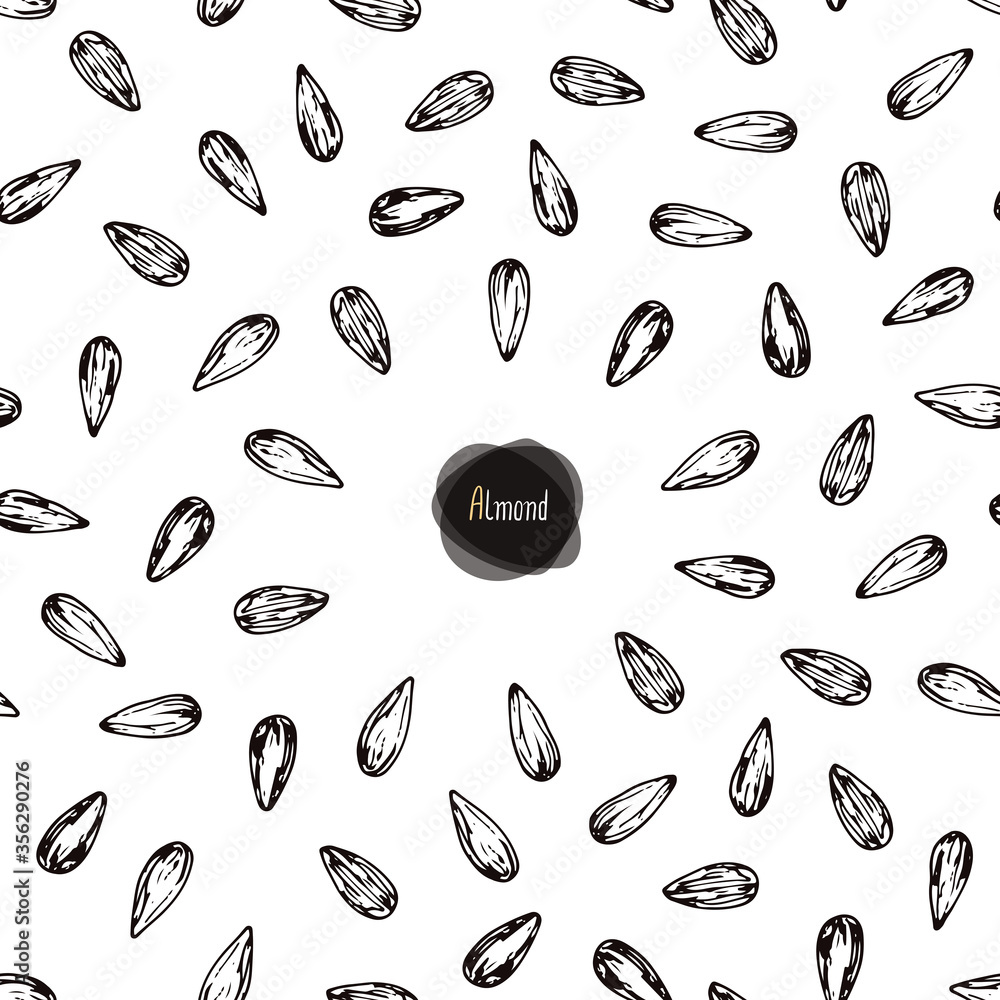 Hand drawn sketch style almond label. Vector illustration. Hand drawn sketch style almond label. Vector illustration.