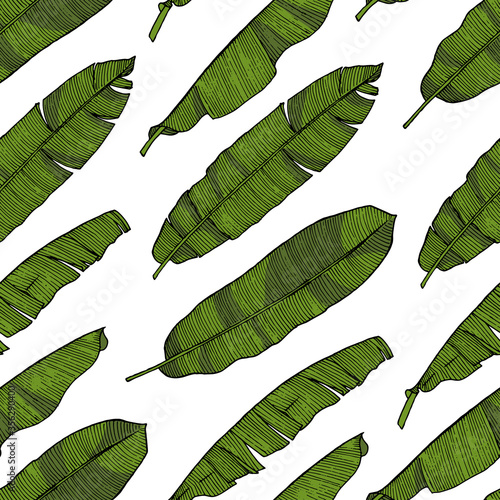 Hand drawn sketch style banana leaves seamless pattern. Color illustration.