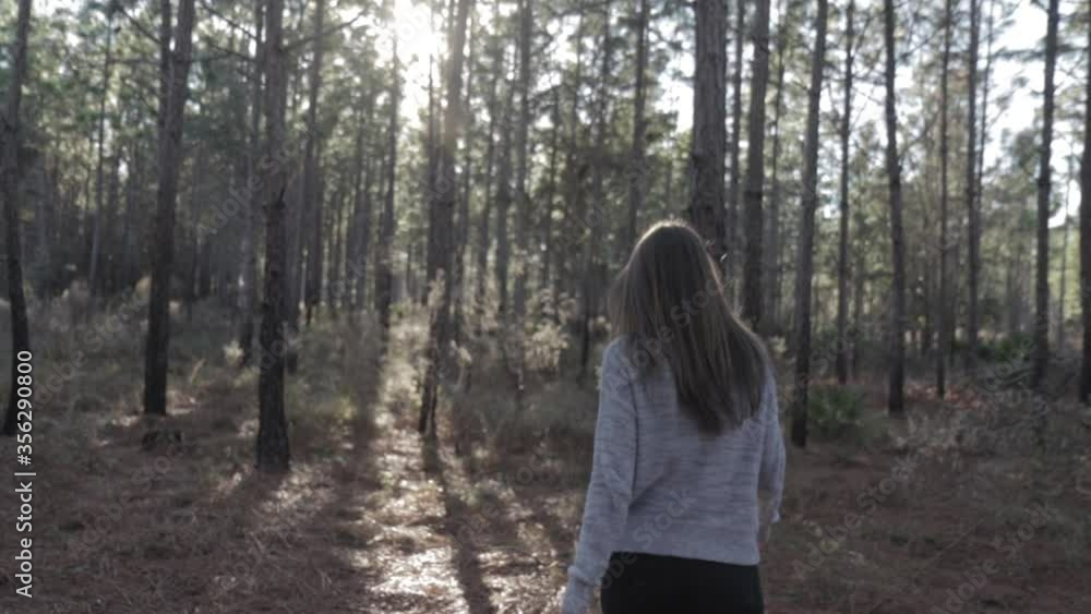 Girl Walking Through Pine Forest at Sunset, Steadicam, Slow Motion Girl Walking Through Pine Forest at Sunset, Steadicam, Slow Motion