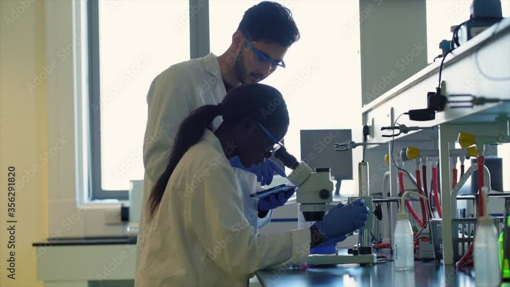 Two people, male and female scientist, working together using a laboratory microscope and recording data on a handheld device. Two people, male and female scientist, working together using a laboratory microscope and recording data on a handheld device.
