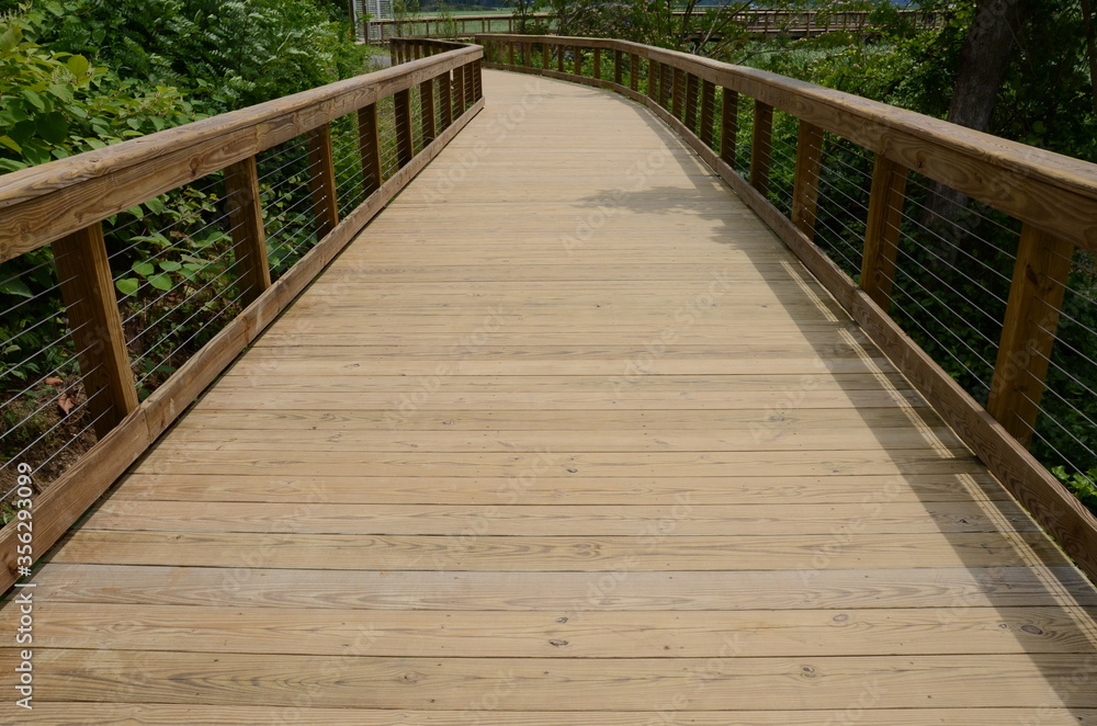 wooden boardwalk or trail with railing and green plants