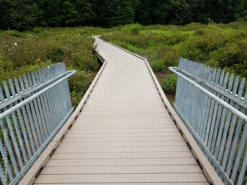 wood boardwalk with metal fence and water and green plants