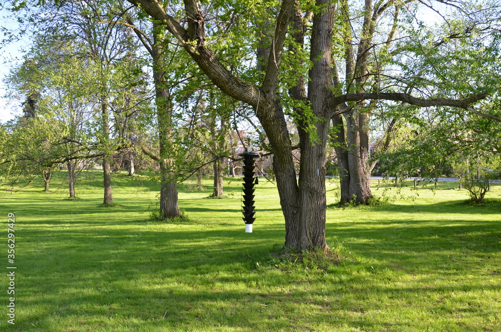 black bird feeder hanging from tree branch