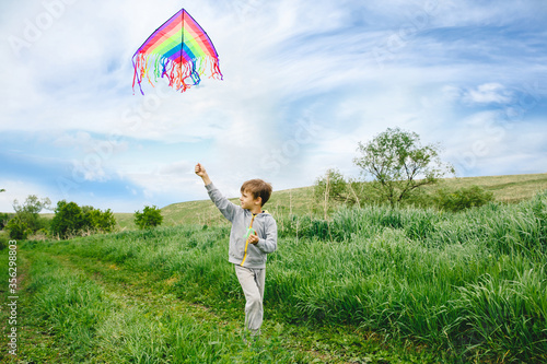 Cute white kid playing colorful kite outdoor at summer meadow or park. Color photography of caucasian young boy isolated at sunny blue sky and green field background