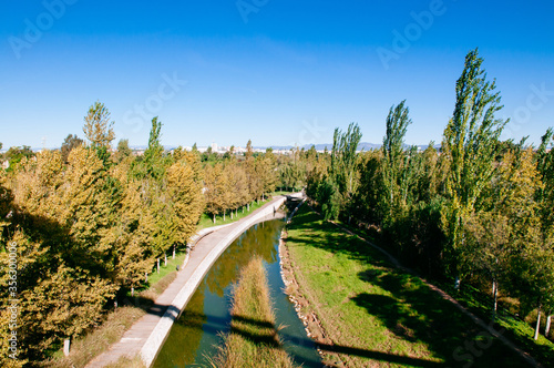 Small river in Valencia Bioparc with green lush tree under blue sky