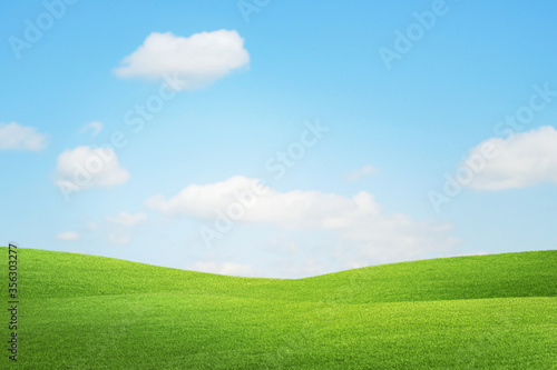 Fresh green field and blue sky make day light summer