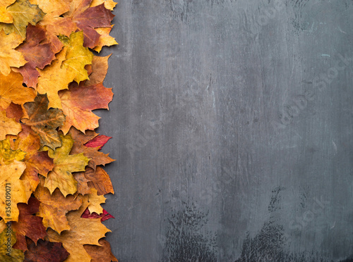 Seasonal autumn background. Colorful maple leaves over grey texture. photo