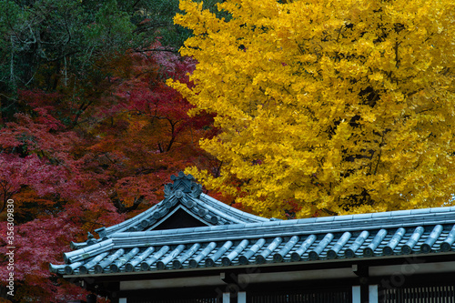 赤色の葉と黄色の葉と瓦屋根