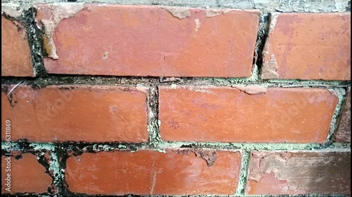 red brick wall, Abstract Black brick wall texture for pattern background. New Video footage  