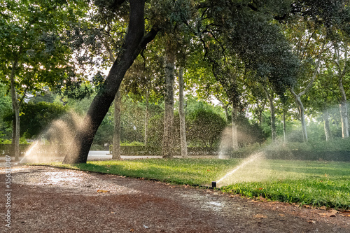 Grass watering in a park in summer day in the fresh morning. Automatic sprinkler irrigation system working in a green park, watering lawn, flowers and trees