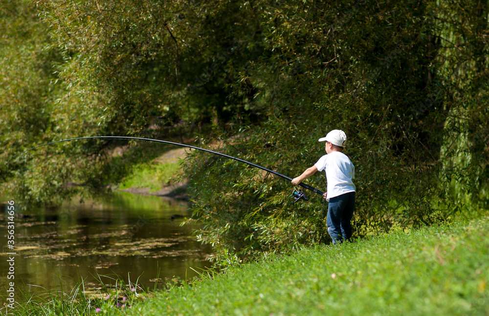 Little boy fishing Little boy fishing