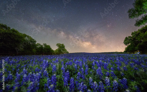 Milky way over bluebonnet in Ennis, Texas