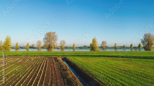 AERIAL WS Fields and river on sunny day / Waalwijk, Noord-Brabant, the Netherlands photo