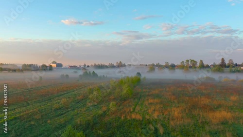 Wallpaper Mural Flying over meadows and fields and a young forest with a misty river in the early morning near a residential rural village Torontodigital.ca