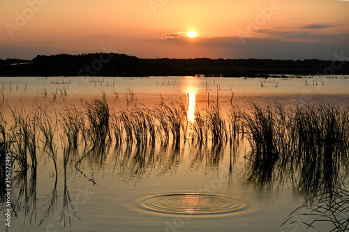 沼の夕日と波紋
