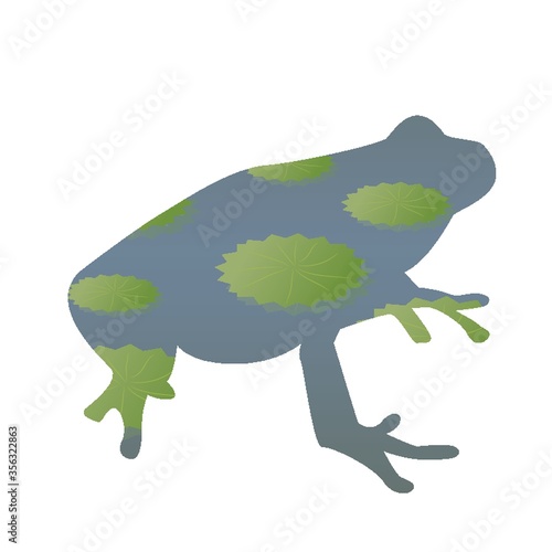 double exposure of frog and pond