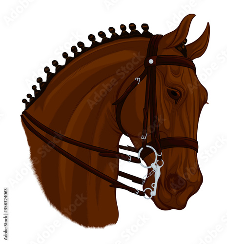 Head of a sorrel horse with braided mane. Stallion equipped for dressage wears a double bridle with bradoon and curb bit. Vector emblem, design element for equestrian clubs.