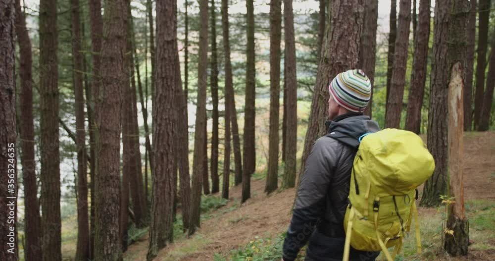 MS Rear view of male hiker with backpack in forest / Yorkshire Moors, Yorkshire, UK MS Rear view of male hiker with backpack in forest / Yorkshire Moors, Yorkshire, UK