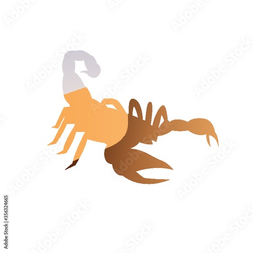 double exposure of scorpion and desert