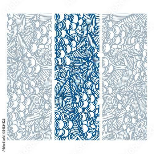 Grape and vine hand drawn different vector illustrations. Vineyard engraving style various backgrounds. Part of set.