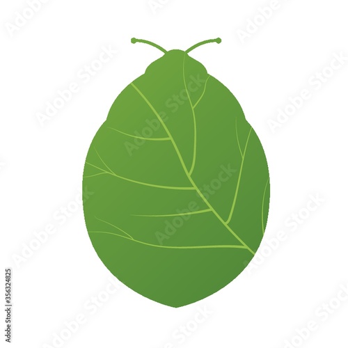 double exposure of beetle and leaf