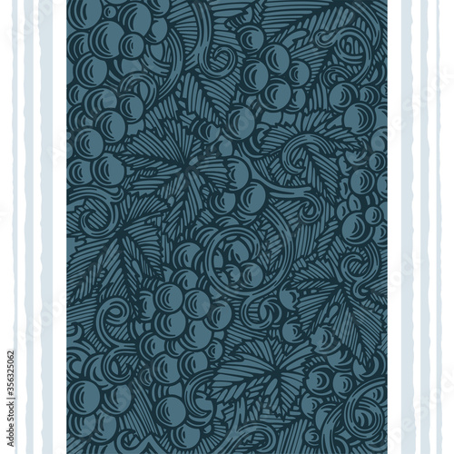 Grape and vine hand drawn vector illustration. Vineyard engraving style background. Part of set.